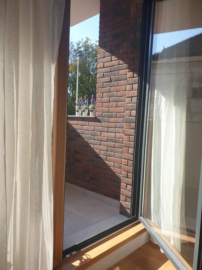 Apartment Mona Belgrad